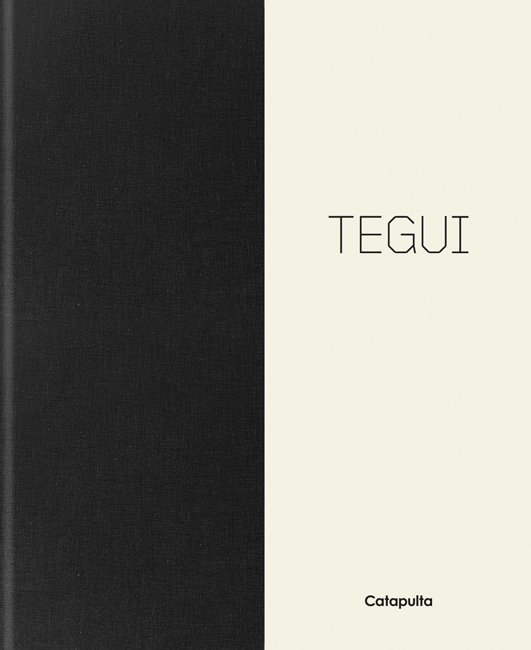 Tegui